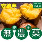  нет пестициды дешево . клубень 500g нет пестициды * без добавок внутренний производство 