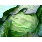  химия пестициды * химия удобрение не использование иметь машина JAS капуста 1 шт 