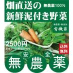 無農薬野菜詰め合わせ 旬の無農薬100％野菜セット 2500円