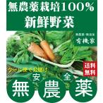 無農薬野菜詰め合わせ 旬の無農薬100％野菜セット　３０００円