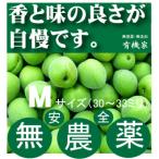  нет пестициды синий слива M размер [ примерно 30 мм из 33 мм ]1kg внутренний производство 100% Nara префектура производство * три слоя префектура производство иметь машина JAS[ нет пестициды * без добавок ] сливовое вино для [...]