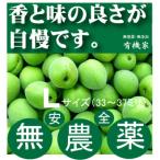  нет пестициды синий слива L размер [ примерно 33 мм из 37 мм ]1kg внутренний производство 100% 6 месяц средний . примерно отправка Nara префектура производство * три слоя префектура производство иметь машина JAS[ нет пестициды * без добавок ] сливовое вино для [...]