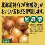  Hokkaido производство иметь машина шар лук порей 500g нет пестициды * без добавок 