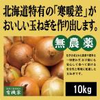  Hokkaido производство иметь машина шар лук порей 10kg нет пестициды * без добавок 