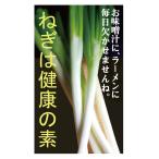 нет пестициды лук порей 300g[ Chiba производство ]