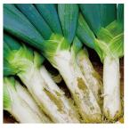  внизу . рисовое поле лук порей нет пестициды * нет .. удобрение Gunma префектура производство внизу . рисовое поле лук порей 300g×2 шт нагревание час. .... подобный еда чувство .... особенность..