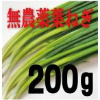  нет пестициды Kochi. лист лук порей 100g×2 упаковка 