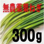  нет пестициды Kochi. лист лук порей 100g×3 упаковка 