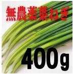  нет пестициды Kochi. лист лук порей 100g×4 упаковка 