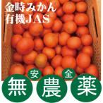 金時みかん５ｋｇ【送料無料】★有機JAS（無農薬・無添加）★香川県産★甘味濃厚