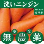  нет пестициды морковь человек Gin [ мытье ]5kg местного производства иметь машина морковь нет пестициды * без добавок 