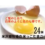  flat .. яйцо рис .. Tama .6 штук ××4 упаковка рис .. ранчо. яйцо. безопасность . стоимость.. живое существо качество . соединение антибактериальный .. не использование 