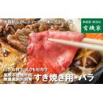 自然放牧牛 えりも短�