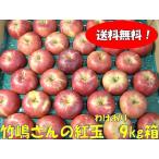 竹嶋有機農園のりんご（紅玉）約9kg　わけあり品　化学農薬不使用【12月から1月ころ】