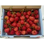 南アルプスさくらんぼ(紅秀峰）500g箱（6月上旬−下旬ころ）