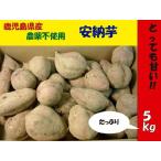 農薬不使用　鹿児島産　安納芋　約5kg箱