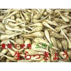 「予約」農薬不使用　生らっきょう　3ｋｇ　（6月末から7月中旬ころお届け）