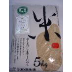 農薬不使用　コシヒカリ玄米10kg(5kg