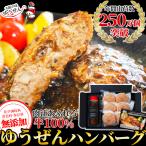 ショッピングお中元 早割 送料無料 父の日 早割 ギフト 贈り物 肉 ハンバーグ 牛肉 無添加 牛100％ ゆうぜんハンバーグ 150g×6個 (2個真空×3パック) 専用ソース ゆうぜんギフト