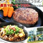 Yahoo! Yahoo!ショッピング(ヤフー ショッピング)ハンバーグ 牛丼 セット 冷凍 国産牛 無添加 農芸マザービーフ 100％ ハンバーグと牛丼 10食セット （各5食）