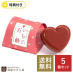 特典付き 苺 ホテル 旅館 温泉 お風呂 送料無料 ギフト 粗品 プレゼント アメニティ 石けん 洗顔 あまおう いちご 石鹸 70ｇ（箱入）5個セット