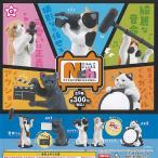 にゃんこ チャンネル 全5種セット エール ガチャポン ガチャガチャ ガシャポン コンプリート ネコ