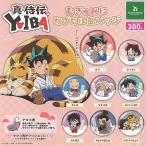 真 侍伝 YAIBA むぎゅみに カプセル 缶バッジ 全8種+ディスプレイ台紙セット ブシロード ガチャポン ガチャガチャ ガシャポン コンプリート