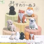 ������ �~ �� �������[�� 3 �S5��Z�b�g 2���\�� �G�[�� �K�`���|�� �K�`���K�`�� �K�V���|�� �R���v���[�g