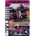 P-204 仮面ライダーWサイクロンジョーカー/ハードボイルダー 仮面ライダーバトル ガンバライドカード チョコスナック 第5弾 バンダイ 食玩