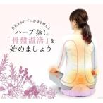 よもにん ハーバルリズム 骨盤ゆたんぽ ハーブ蒸しゆたんぽ 座る湯たんぽ 妊活 温活 美st掲載 ドリーム