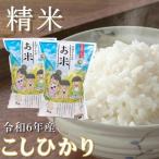 令和4年産 魚沼産コシヒカリ 吉村さんちのお米  精米 10kg （5kg×2袋） 非BL 従来品種 産地直送 sea farm