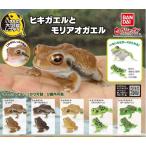 (在庫品)いきもの大図鑑レプティ ヒキガエルとモリアオガエル　全5種セット