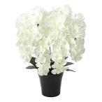  photocatalyst artificial flower light. comfort . premium . butterfly orchid 7ps.@.W 658A250