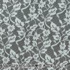 [ количество 5 из ] ткань [ russell гонки "теплый" белый 14827-2]