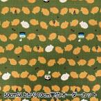 【数量5から】 生地 『