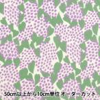 [ количество 5 из ] ткань [kippis (kipis)si- подбородок g lilac лиловый KPS-90A]