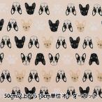 [ количество 5 из ] ткань [s уход French bru собака SQ41902-3B] [yu The waya оригинал ]