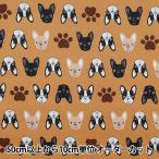 [ количество 5 из ] ткань [s уход French bru собака SQ41902-3C] [yu The waya оригинал ]