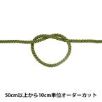 [ количество 5 из ] рукоделие шнурок [ кручение код ширина примерно 5mm 22 номер цвет ]