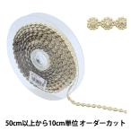 �ڿ���5����� ��ݥ֥졼�� �إ��ߥơ������֥졼�� ����1cm �� ������� GY-43-18-43��