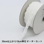 �ڿ���5����� �졼����ܥ�ơ��� �إ��ȥ�å���å���졼�� ���եۥ磻�� F1019��