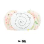 秋冬毛糸 『カラメッレ 101番色』 Pup