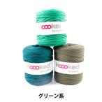 Tシャツヤーン 『Hoooked Zpagetti (フックドゥズパゲッティ) グリーン』 DMC ディーエムシー