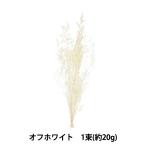 プリザーブドフラワー花材