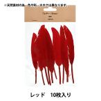  рукоделие материал [ перо 10pcs красный HY071166]