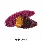  бисер комплект [. ... брошь комплект ....HCA20//5] MIYUKImiyuki