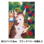  бисер комплект [ бриллиант фиксирующие детали кошка. dayan BlackBerry .. уже DF2L-WF001] Tokyo ..