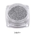 Yahoo! Yahoo!ショッピング(ヤフー ショッピング)レジンパーツ 『ラメパウダー シルバー GN-53-19A-09』