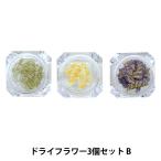 Yahoo! Yahoo!ショッピング(ヤフー ショッピング)ドライフラワー 『ナチュラルドライフラワー 3個セット B』 SMint エスミント