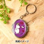  resin комплект [UV resin compact зеркало брелок для ключа комплект поток Len овальный 10-4275]